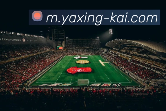 平台展示图
